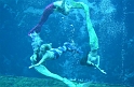 Kids_WeekiWachee-Mermaids (13)